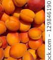 Ripe apricots are piled together, creating a textured display of orange and yellow hues, ideal for food related themes or summery backgrounds 129846190