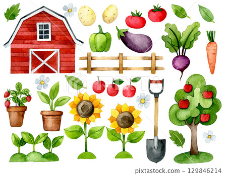 farm elements set. watercolor drawing barn, vegetables, sunflowers, plants. illustration for children, cartoon farm elements set. watercolor drawing barn, vegetables, sunflowers, plants. illustration for children, cartoon 129846214