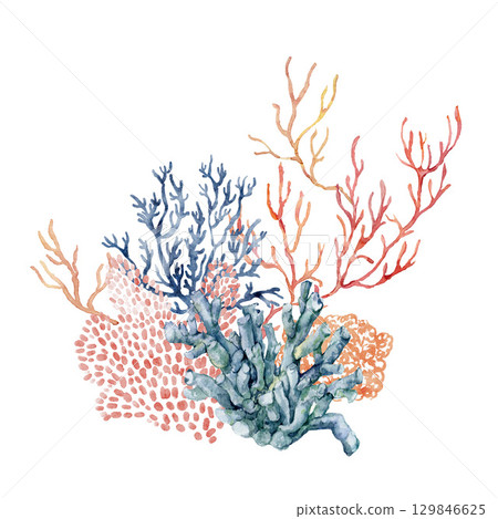 Watercolor ocean coral composition of orange, red, green and blue branches. Underwater plant illustration isolated on white background. For design, prints, fabric or background. 129846625