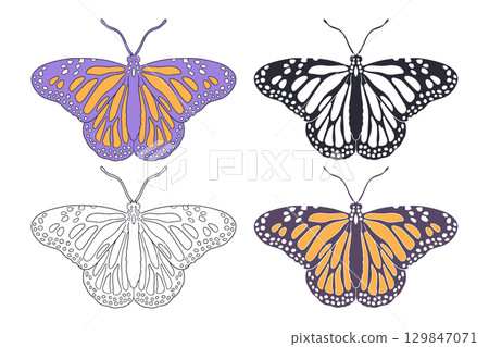 Set of Monarch butterfly hand drawn monochrome and colorful prints. Vintage silhouettes and line art tropical insect vector illustration 129847071