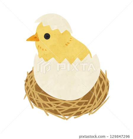 蛋殼裡的小雞水彩手繪插畫 蛋殼裡的小雞水彩手繪插畫 129847296
