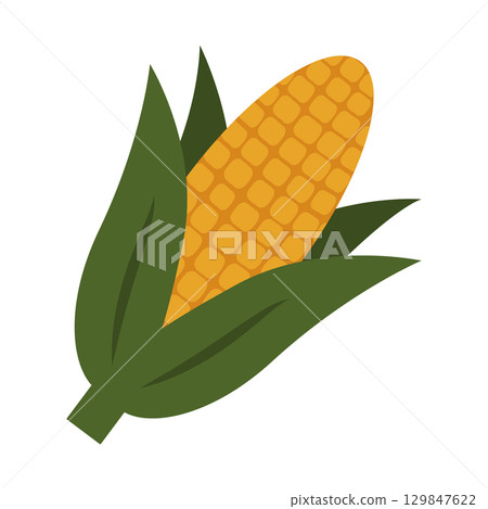 Hand Drawn Corn head with green leaves Sticker Icon Pictogram Kwanzaa Holiday Minimalist Flat design Hand Drawn Corn head with green leaves Sticker Icon Pictogram Kwanzaa Holiday Minimalist Flat design 129847622