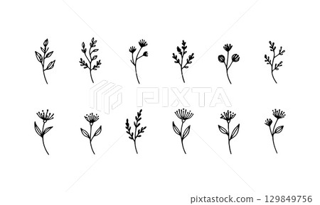 Delicate Floral Outline. Thin line floral elements in a hand-drawn style, ideal for subtle botanical patterns or minimalistic nature-themed designs. 129849756