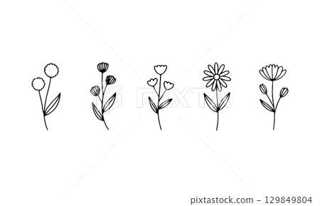 Simplified Botanical Sprigs. Simplified floral sprigs with oval petals and minimal hand-drawn elegance in black and white. Simplified Botanical Sprigs. Simplified floral sprigs with oval petals and minimal hand-drawn elegance in black and white. 129849804