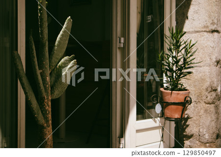 A cactus and potted plant adorn a door in warm sunlight, creating a serene scene. A cactus and potted plant sit by a door, with a glimpse of the interior. Light and shadows give a serene ambiance. 129850497
