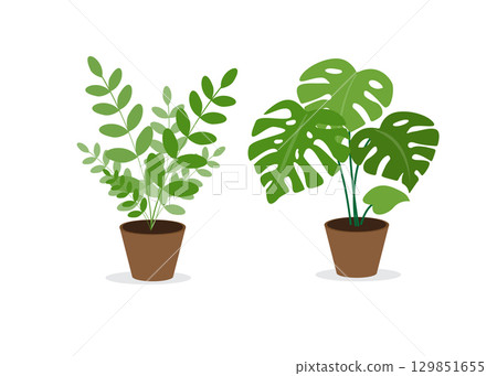 Decorative potted indoor flowers_vector illustration_stock illustration Decorative potted indoor flowers_vector illustration_stock illustration 129851655