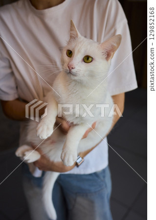 A Charming Cat, Comfortably Held in Hands, Showcasing Its Striking Eyes A Charming Cat, Comfortably Held in Hands, Showcasing Its Striking Eyes 129852168