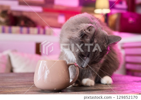 A Playful and Curious Cat Interacting with a Colorful Mug on a Beautiful Wooden Table 129852170