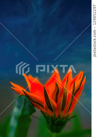 Painterly orange gazania 129852297