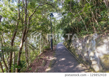 Lugard Rd Hong Kong in China 129852410