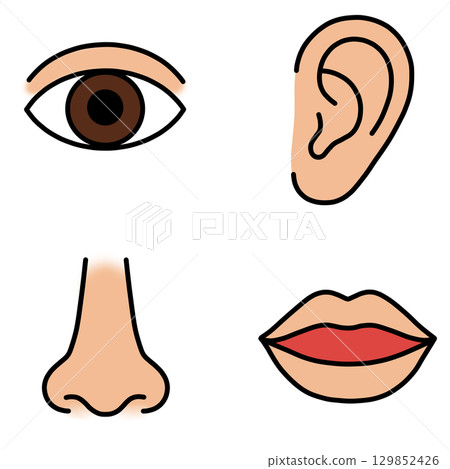 Face parts Face parts 129852426