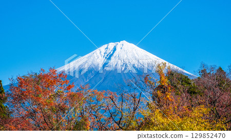 富士山和富士山 129852470