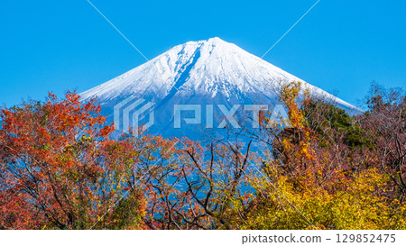 富士山和富士山 129852475