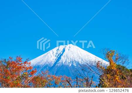  Fuji and Mt. Fuji 129852476
