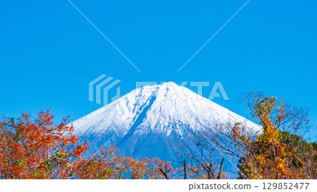 Fuji and Mt. Fuji Fuji and Mt. Fuji 129852477