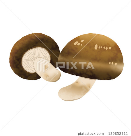 香菇 香菇 129852511