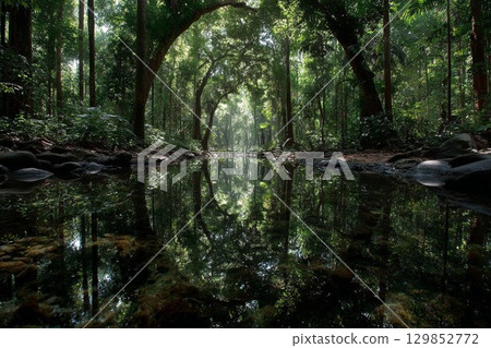 Rainforest stream and lush green trees, silent water surface, wide-angle nature photography 129852772