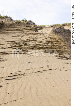 Summer Tottori Sand Dunes and their patterns Tottori Prefecture Tottori Sand Dunes 129852861