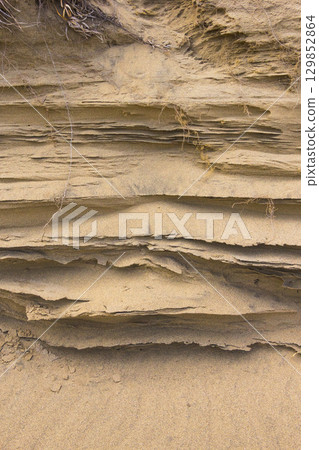 夏季的鳥取沙丘及其形態 鳥取縣 鳥取沙丘 夏季的鳥取沙丘及其形態 鳥取縣 鳥取沙丘 129852864