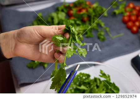 Hands Skillfully Cutting Fresh Cilantro for Delicious and Flavorful Cooking Dishes Hands Skillfully Cutting Fresh Cilantro for Delicious and Flavorful Cooking Dishes 129852974