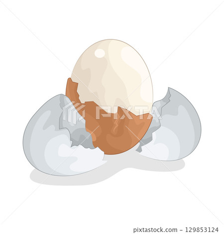 Illustration of Boiled Egg Illustration of Boiled Egg 129853124