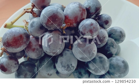 巨大的高峰 129854210