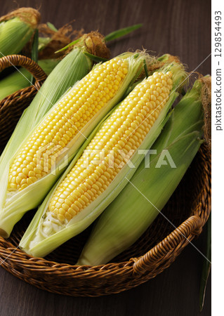 Freshly harvested corn Freshly harvested corn 129854493