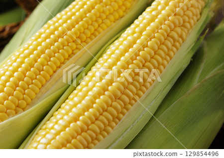 剛收穫的玉米 129854496