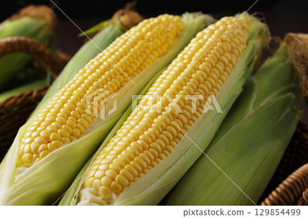 剛收穫的玉米 129854499