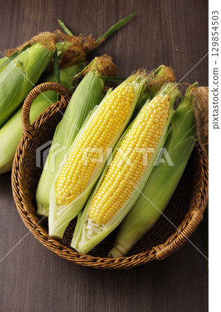 Freshly harvested corn 129854503