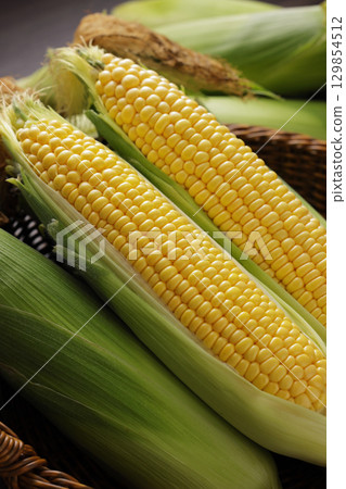 剛收穫的玉米 129854512