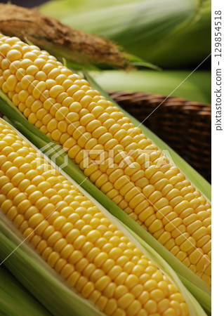 Freshly harvested corn 129854518
