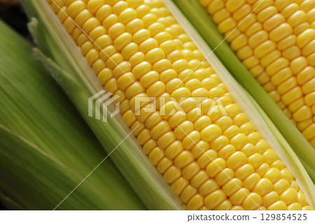 Freshly harvested corn Freshly harvested corn 129854525