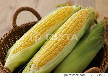 Freshly harvested corn 129854532