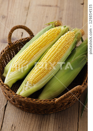 Freshly harvested corn 129854535