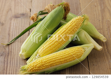 Freshly harvested corn 129854539