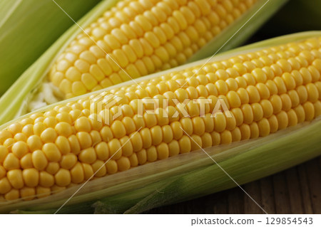 Freshly harvested corn Freshly harvested corn 129854543