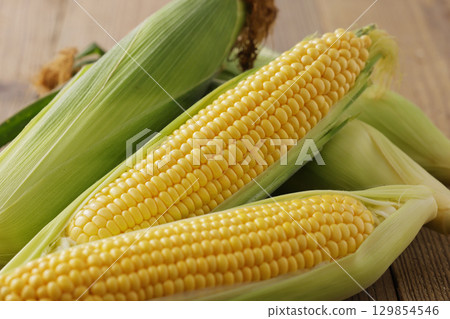 Freshly harvested corn 129854546