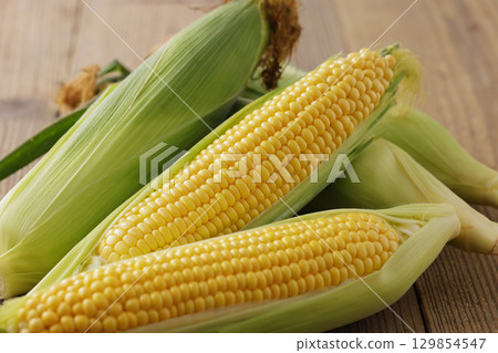 Freshly harvested corn 129854547
