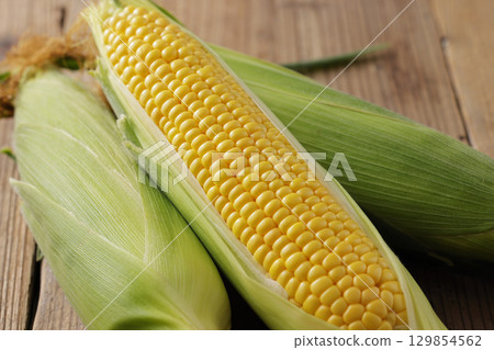 Freshly harvested corn 129854562