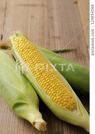 剛收穫的玉米 129854566