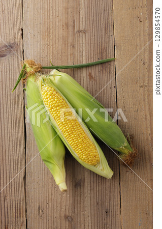Freshly harvested corn 129854570
