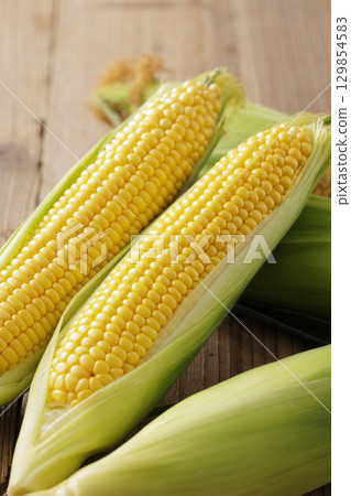 剛收穫的玉米 剛收穫的玉米 129854583