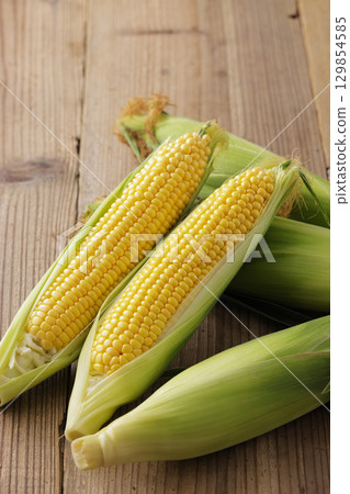 剛收穫的玉米 129854585