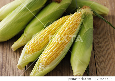 Freshly harvested corn Freshly harvested corn 129854588