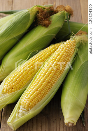 Freshly harvested corn Freshly harvested corn 129854590