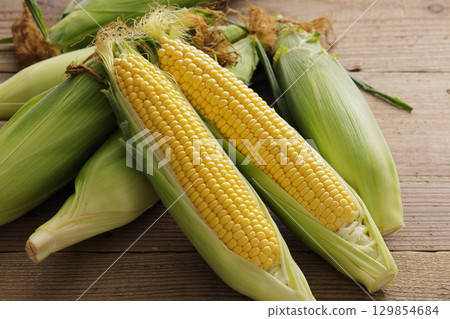 Freshly harvested corn 129854684
