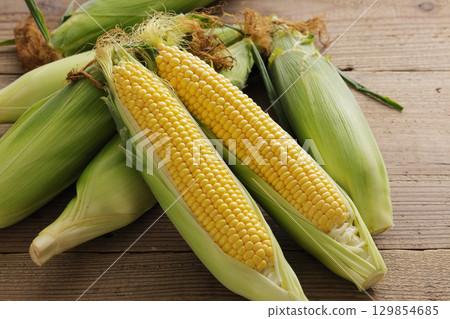 Freshly harvested corn Freshly harvested corn 129854685