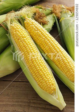 Freshly harvested corn 129854692