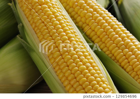 Freshly harvested corn 129854696